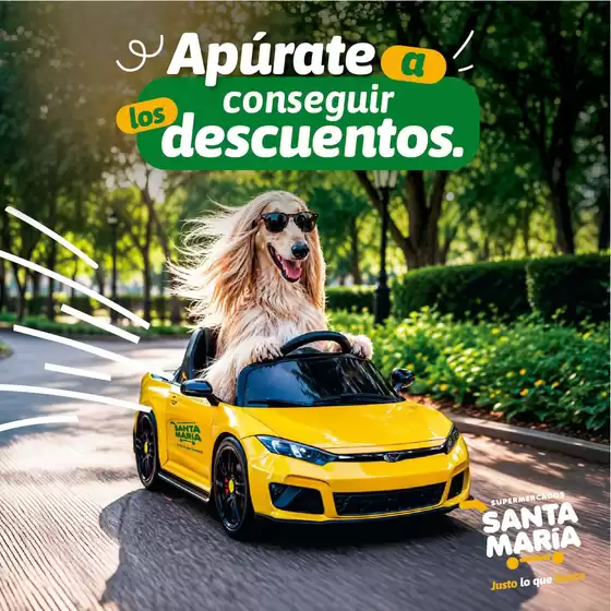 Catálogo Santa Maria | Gangas y ofertas actuales | 2026-09-02T00:00:00.000Z - 2026-09-16T00:00:00.000Z