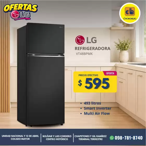 main_flyer image