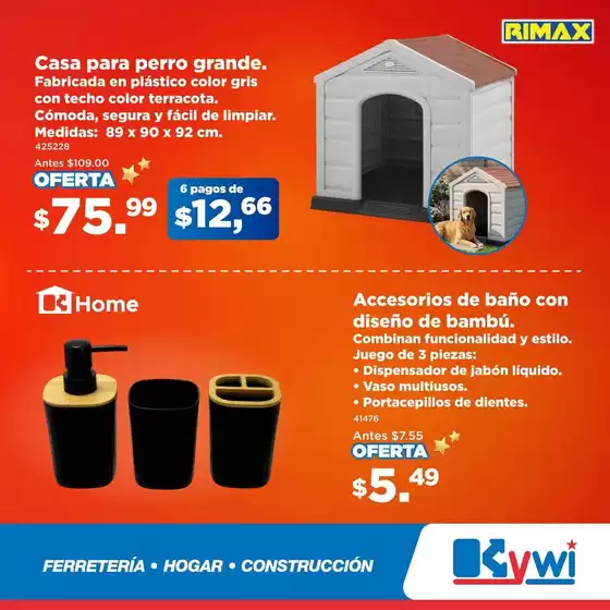 main_flyer image