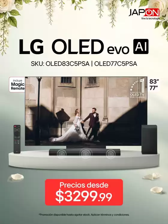Catálogo Almacenes Japón en Zamora | LG OLED | 2026-09-24T00:00:00.000Z - 2026-10-24T00:00:00.000Z