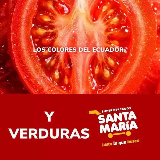 Catálogo Santa Maria en Salitre Canton | Nuestras mejores gangas | 2026-09-28T00:00:00.000Z - 2026-10-12T00:00:00.000Z