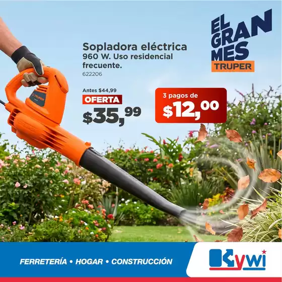 main_flyer image