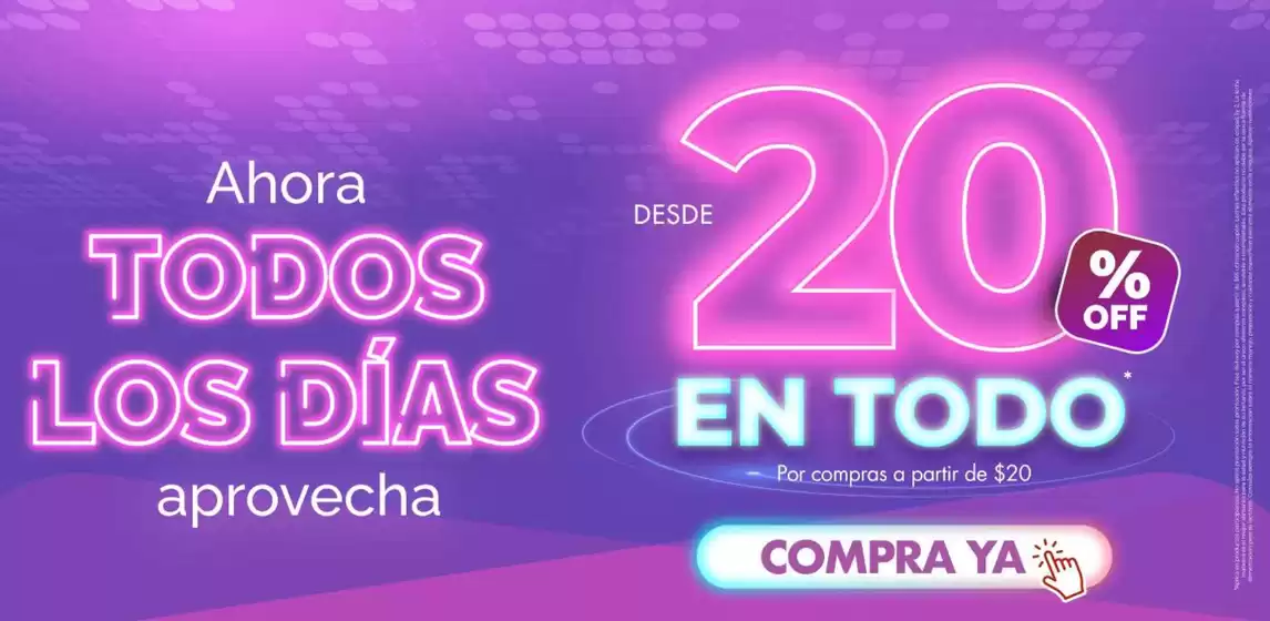 main_flyer image