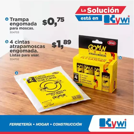 main_flyer image