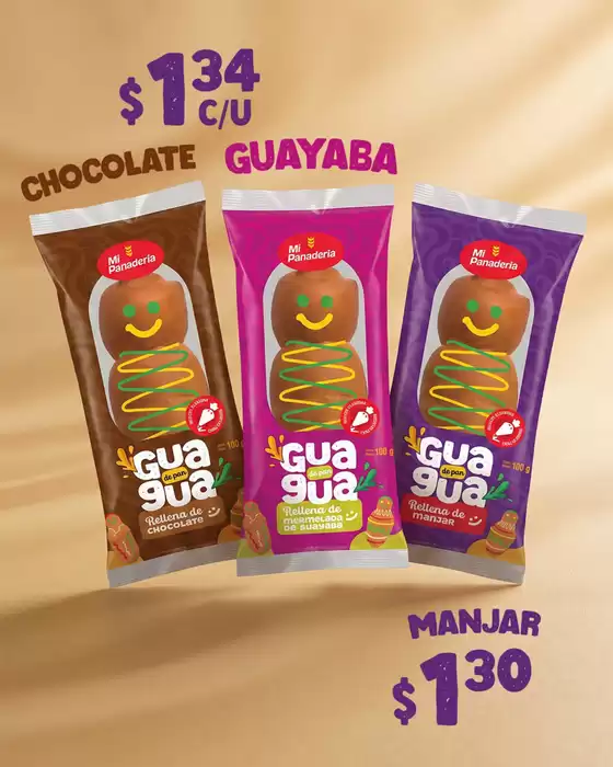main_flyer image