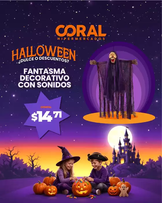 Catálogo Kywi en Penipe | Excelente oferta para cazadores de gangas | 2026-10-19T00:00:00.000Z - 2026-11-02T00:00:00.000Z