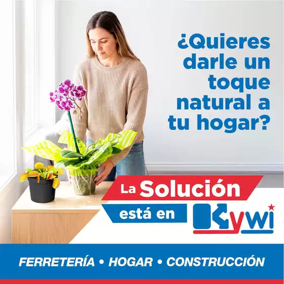 Catálogo Mega Kywi en Espejo | Nuestras mejores gangas | 2026-10-24T00:00:00.000Z - 2026-11-07T00:00:00.000Z