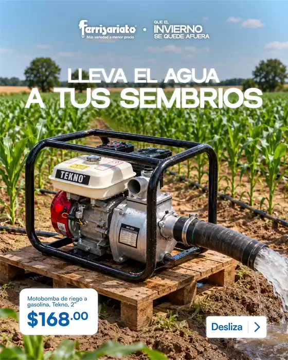 Catálogo Ferrisariato | Gangas y ofertas actuales | 2026-10-25T00:00:00.000Z - 2026-11-08T00:00:00.000Z