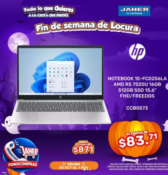 main_flyer image