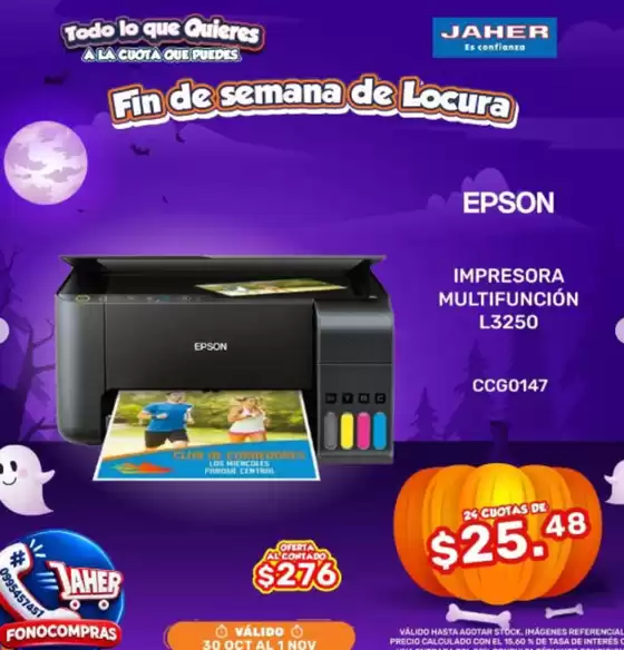 main_flyer image