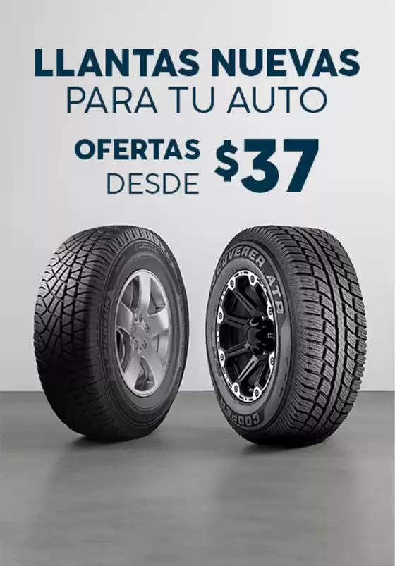 Gran variedad de ofertas