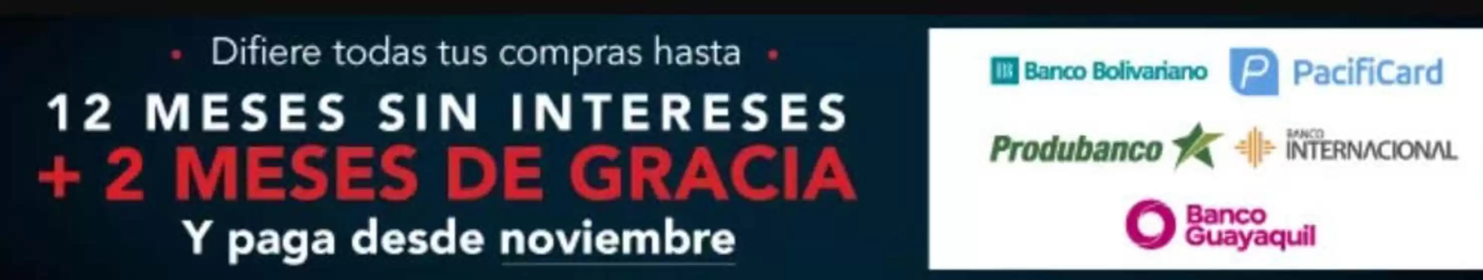 12meses sin intereses+2 meses de gracia 