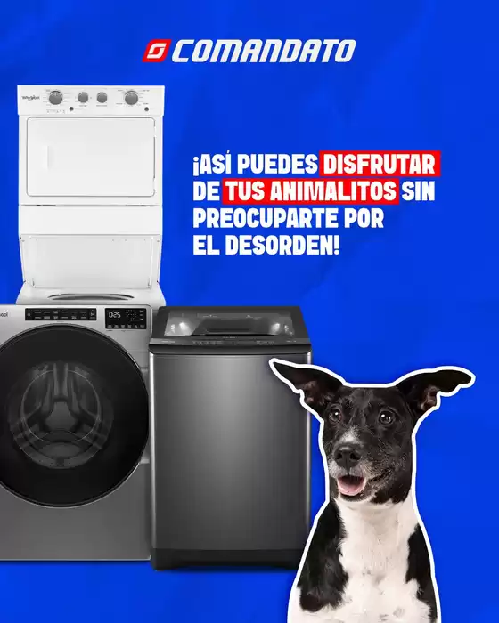 Catálogo Comandato