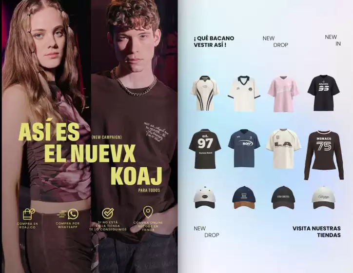 Catalogo Koaj 