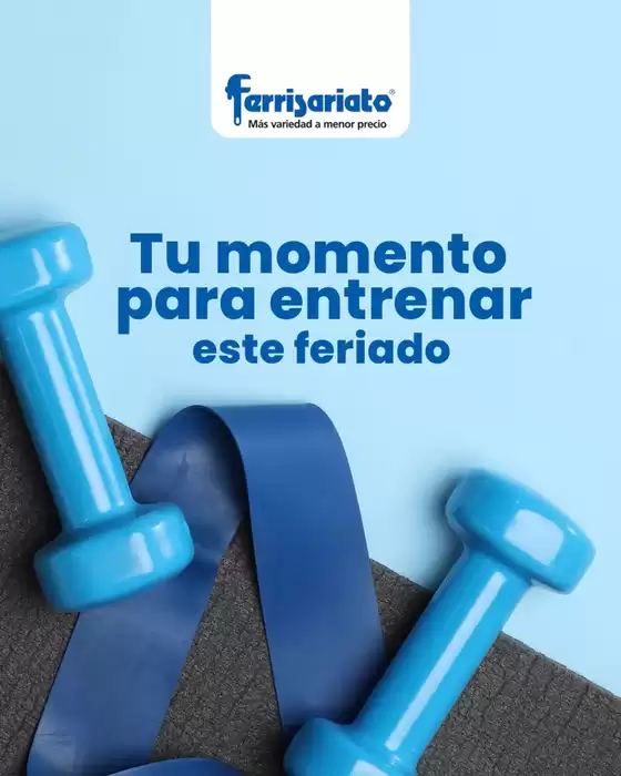 Catálogo Ferrisariato
