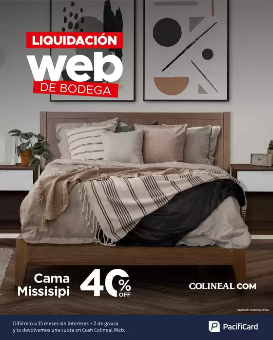 Liquidacion web de bodega 
