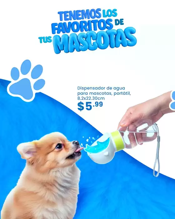 Ofertas y gangas exclusivas