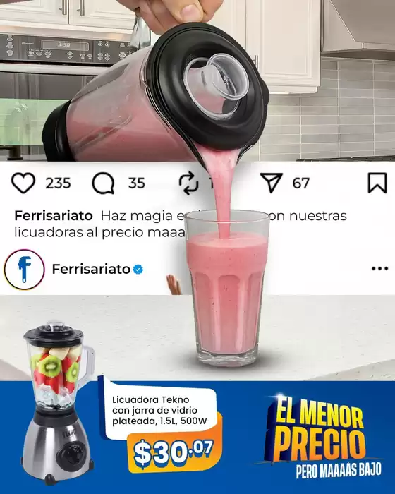 Catálogo Ferrisariato