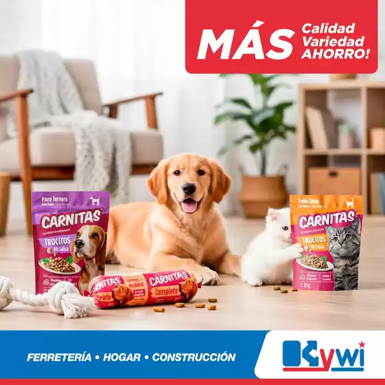 Catálogo Kywi en Gonzanamá | Nuestras mejores gangas | 2025-11-05T00:00:00.000Z - 2025-11-19T00:00:00.000Z