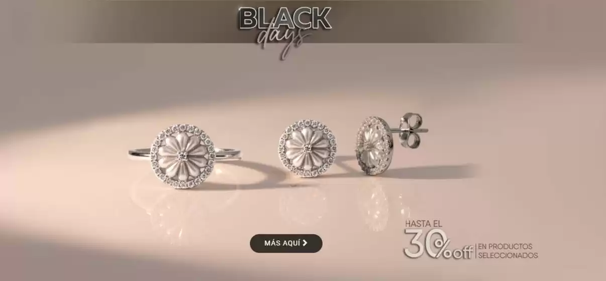 Catálogo Guillermo Vázquez en Pedernales | Black Days  | 2025-11-21T00:00:00.000Z - 2025-11-30T00:00:00.000Z