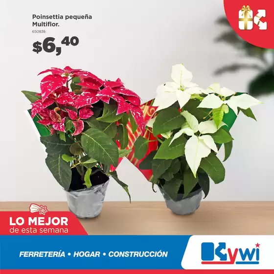 Catálogo Mega Kywi en Duran | Ofertas exclusivas para nuestros clientes | 2025-12-07T00:00:00.000Z - 2025-12-21T00:00:00.000Z
