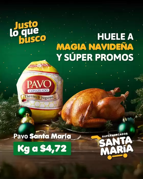 Catálogo Santa Maria en Santa Rosa | Gran variedad de ofertas | 2025-12-15T00:00:00.000Z - 2025-12-29T00:00:00.000Z