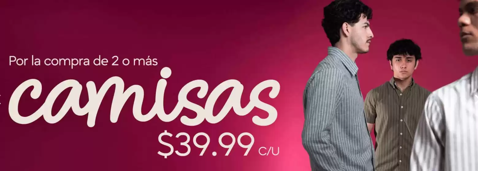 Catálogo Pinto en Guayaquil | Camisas $39.99 | 2026-01-08T00:00:00.000Z - 2026-01-29T00:00:00.000Z