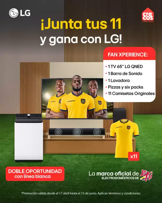 main_flyer image