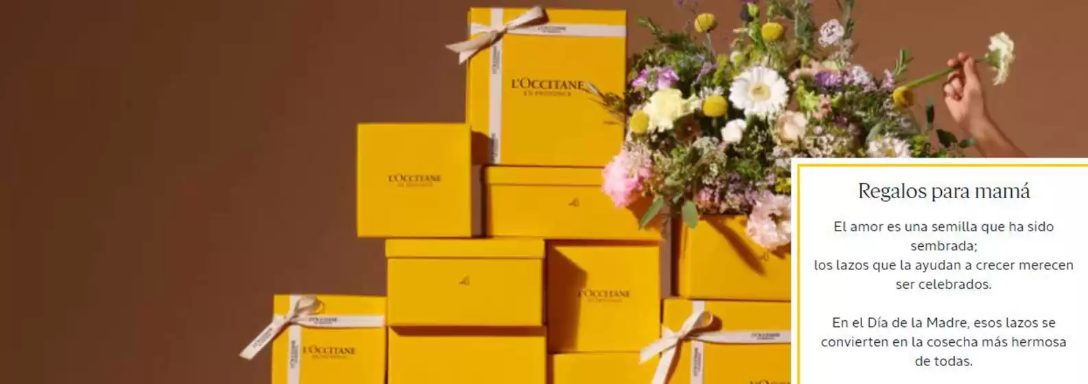 Catálogo L'Occitane en Sangolquí | Regalos para mama  | 2026-04-27T00:00:00.000Z - 2026-05-10T00:00:00.000Z