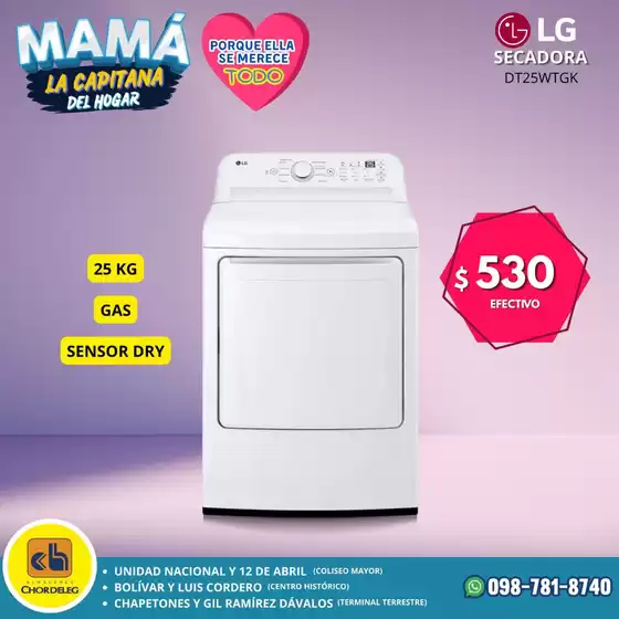 main_flyer image