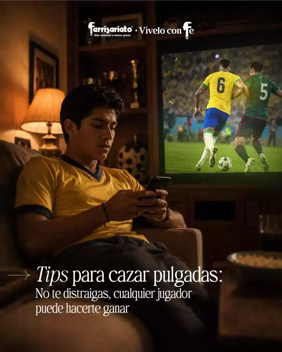 Catálogo Ferrisariato | Nuevas ofertas para descubrir | 2026-06-06T00:00:00.000Z - 2026-06-20T00:00:00.000Z
