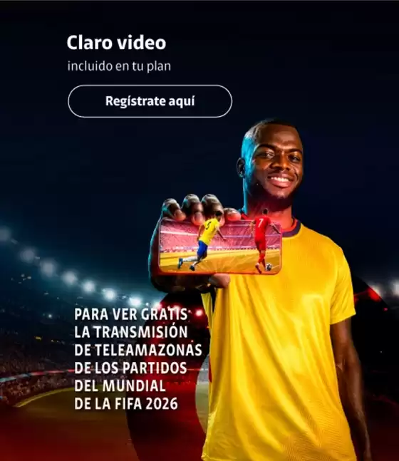 main_flyer image