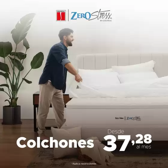 Catálogo Colineal | Colchones | 2026-06-17T00:00:00.000Z - 2026-06-30T00:00:00.000Z