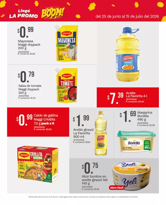 main_flyer image