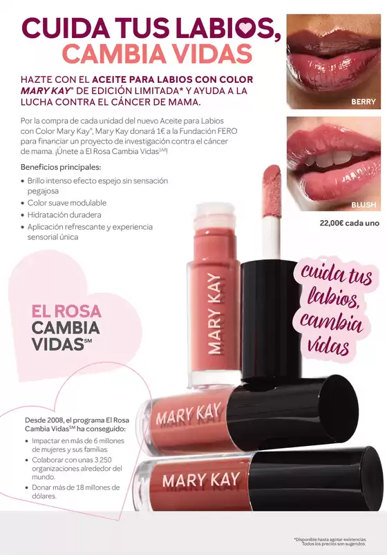 Folleto "El Rosa Cmbia Vidas"