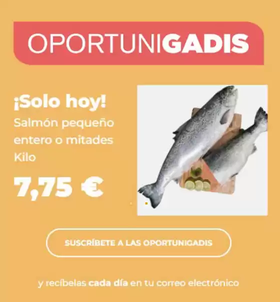 Catálogo Gadis en Ortigueira | Solo hoy! | 2025-07-10T00:00:00.000Z - 2025-07-10T00:00:00.000Z