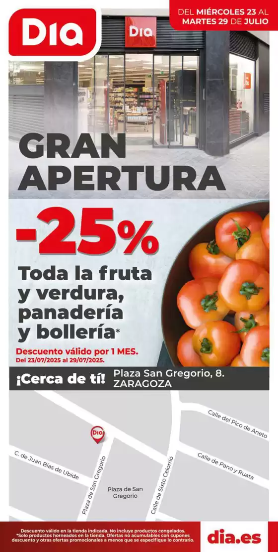 Catálogo Dia en Casetas | Gran apertura Dia del 23/07 al 29/07 | 2025-07-23T00:00:00.000Z - 2025-07-29T00:00:00.000Z