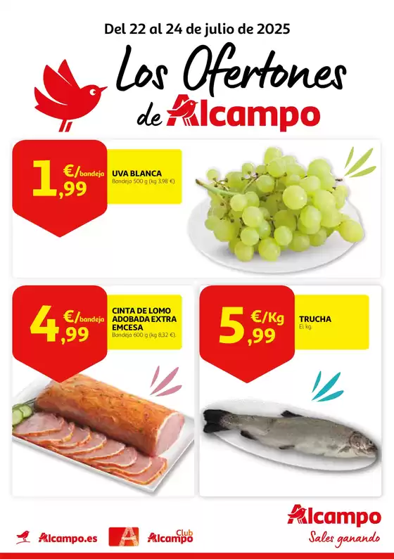 Del 22 al 24 de julio de 2025