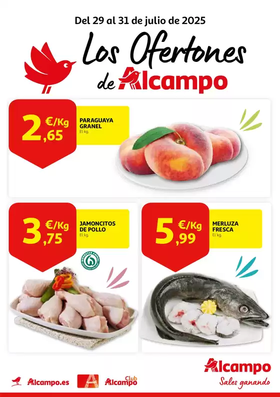 Del 29 al 31 de julio de 2025