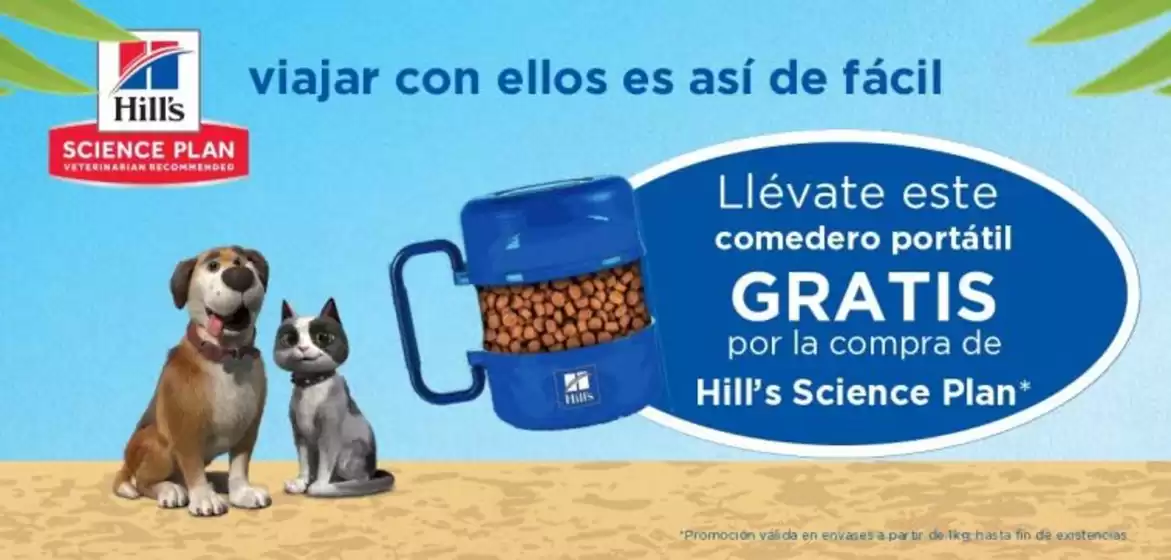Promoción 