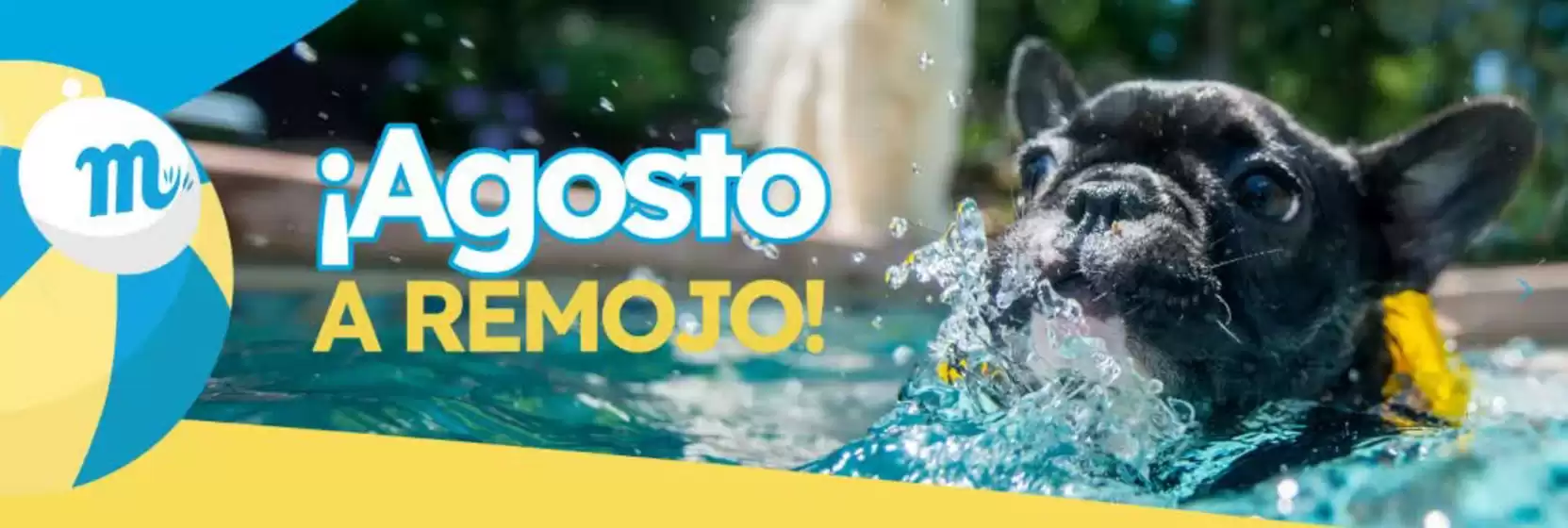 ¡Agosto a Remoto!