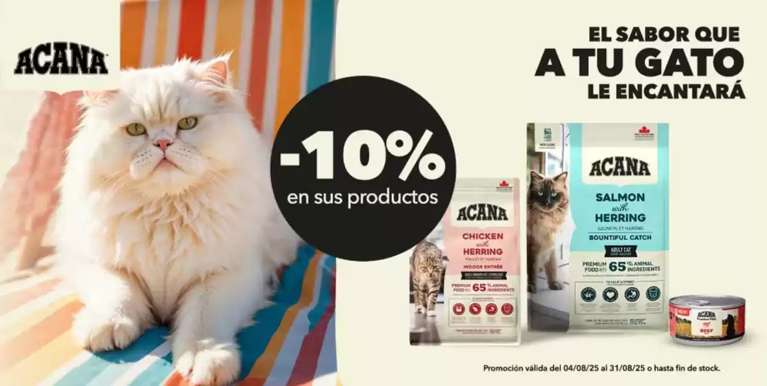 Catálogo NutriTienda en Jaén | -10% en sus products | 2025-08-04T00:00:00.000Z - 2025-08-31T00:00:00.000Z