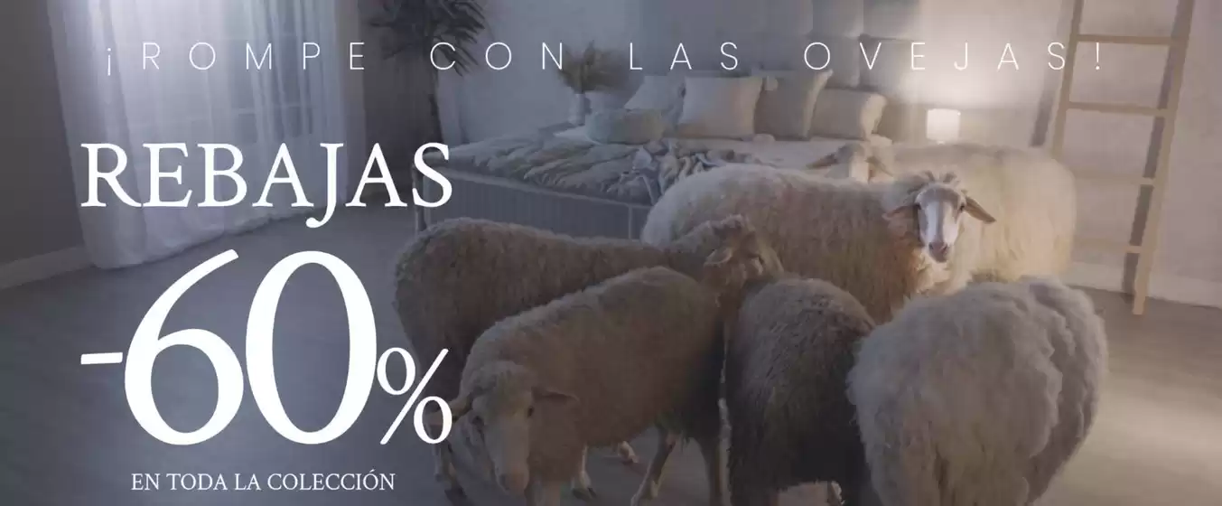 Rebajas -60%