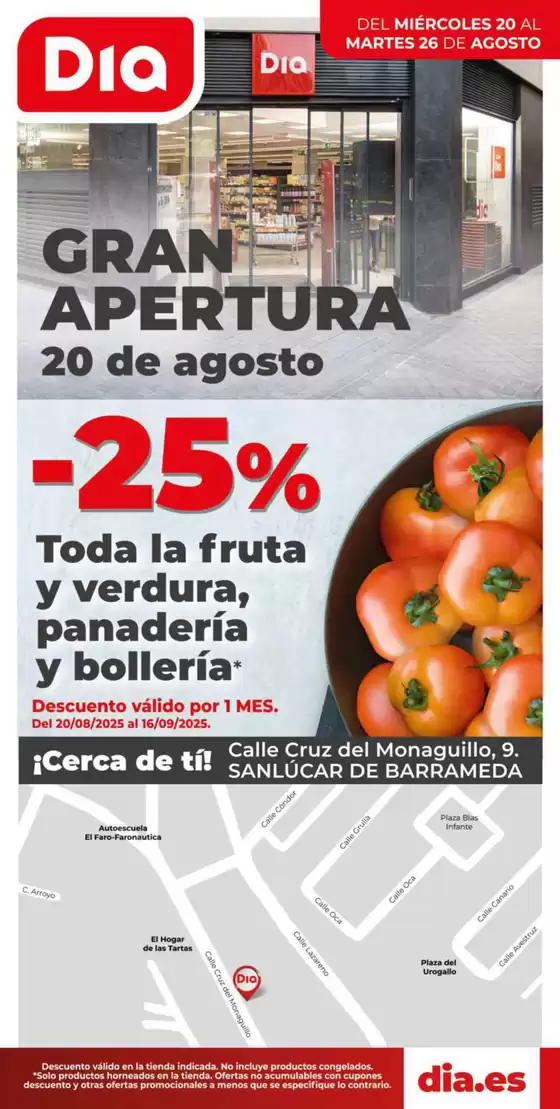 Catálogo Dia | Gran apertura Dia del 20/08 al 26/08 | 2025-08-20T00:00:00.000Z - 2025-08-26T00:00:00.000Z