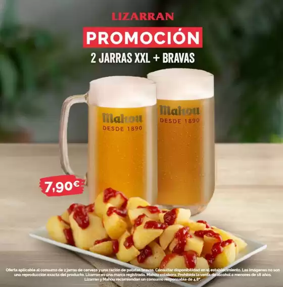 Catálogo Lizarran en Vigo | Promoción  | 2025-08-15T00:00:00.000Z - 2025-08-31T00:00:00.000Z