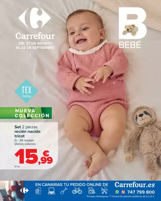 Catálogo Carrefour en Torrent | BEBE (Pañales, alimentación, sillas, ropa y accesorios) | 2025-08-27T00:00:00.000Z - 2025-09-22T00:00:00.000Z