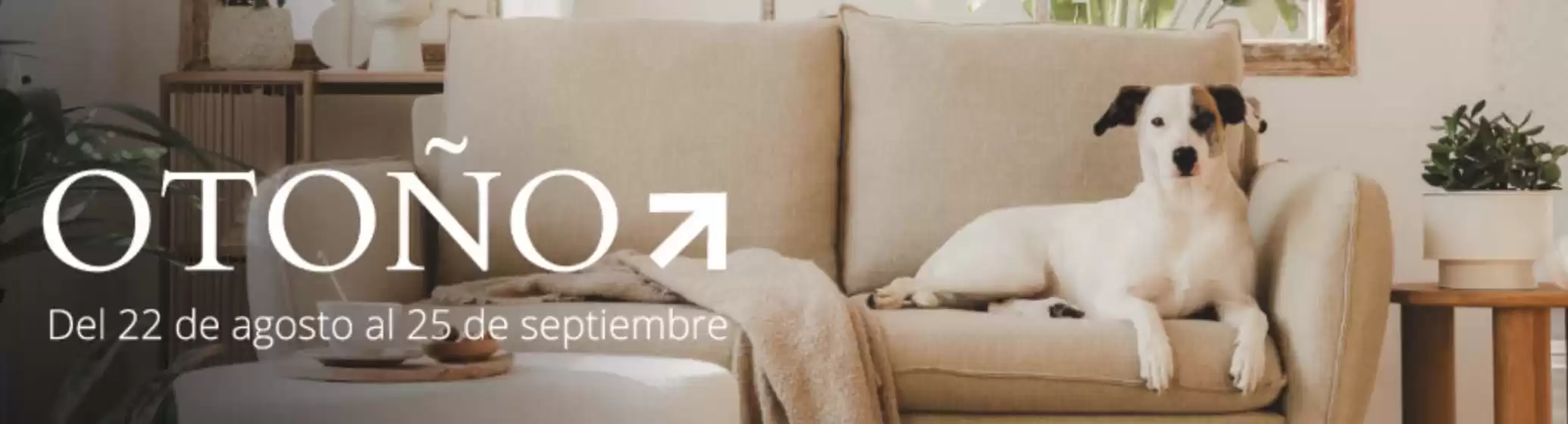 Ofertas