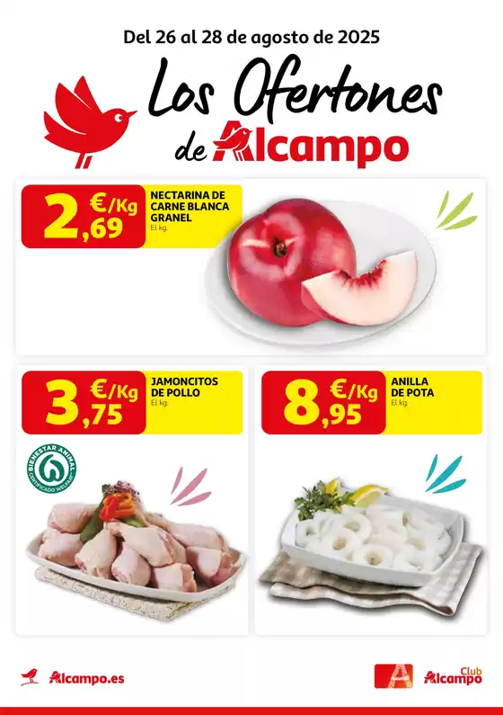 Del 26 al 28 de agosto de 2025