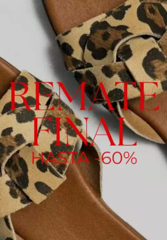 Hasta -60%