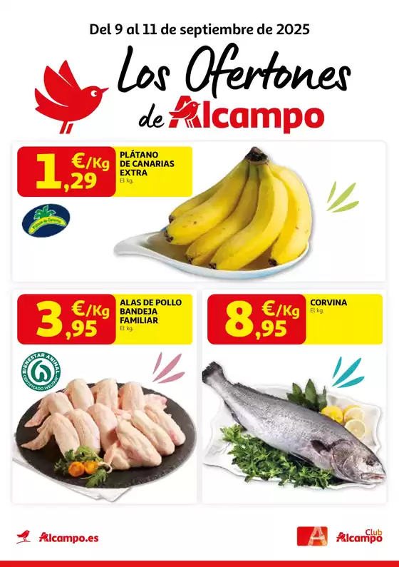 Del 9 al 11 de septiembre de 2025